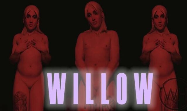 TS WILLOW - Sneak Peek PMV